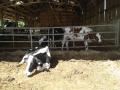 20140606_103532.jpg